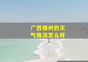 广西梧州的天气情况怎么样