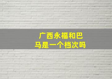 广西永福和巴马是一个档次吗