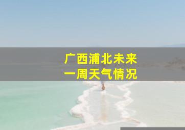 广西浦北未来一周天气情况