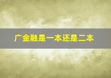 广金融是一本还是二本