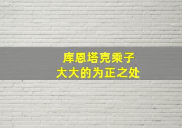 库恩塔克乘子大大的为正之处