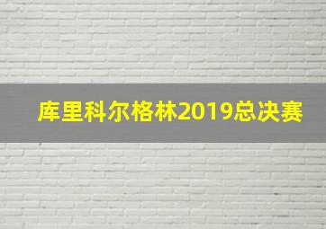 库里科尔格林2019总决赛