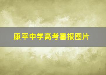 康平中学高考喜报图片