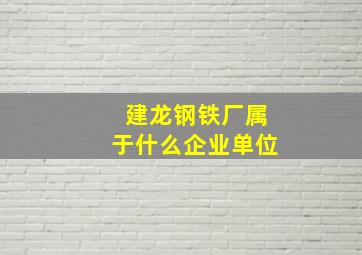 建龙钢铁厂属于什么企业单位