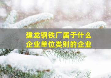 建龙钢铁厂属于什么企业单位类别的企业