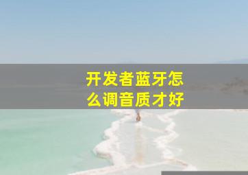 开发者蓝牙怎么调音质才好