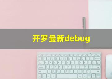 开罗最新debug