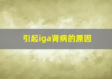 引起iga肾病的原因