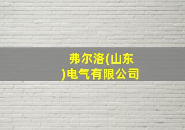 弗尔洛(山东)电气有限公司