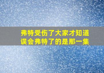 弗特受伤了大家才知道误会弗特了的是那一集