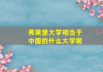 弗莱堡大学相当于中国的什么大学呢