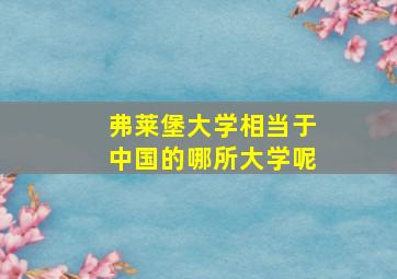 弗莱堡大学相当于中国的哪所大学呢