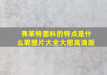 弗莱特面料的特点是什么呢图片大全大图高清版