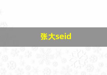 张大seid