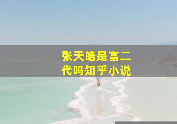 张天皓是富二代吗知乎小说