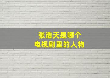 张浩天是哪个电视剧里的人物