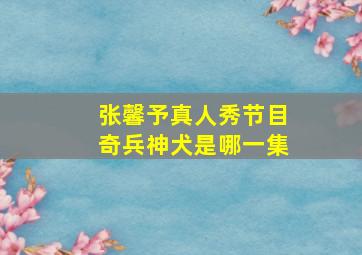 张馨予真人秀节目奇兵神犬是哪一集