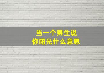 当一个男生说你阳光什么意思