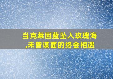 当克莱因蓝坠入玫瑰海,未曾谋面的终会相遇