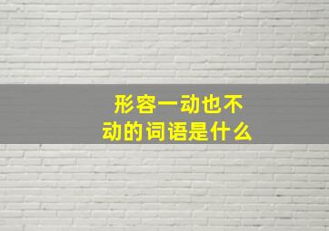 形容一动也不动的词语是什么