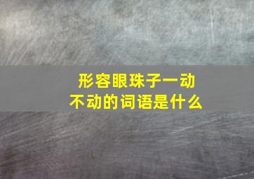 形容眼珠子一动不动的词语是什么