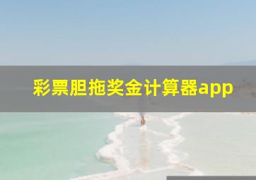 彩票胆拖奖金计算器app