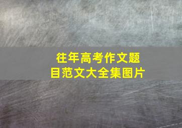 往年高考作文题目范文大全集图片