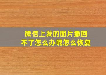 微信上发的图片撤回不了怎么办呢怎么恢复