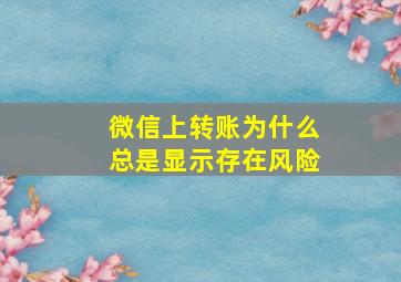 微信上转账为什么总是显示存在风险