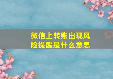 微信上转账出现风险提醒是什么意思