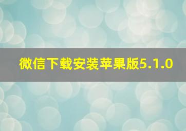 微信下载安装苹果版5.1.0