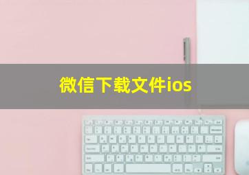 微信下载文件ios