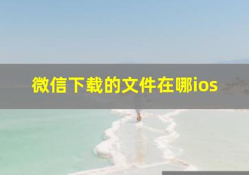 微信下载的文件在哪ios