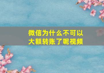 微信为什么不可以大额转账了呢视频