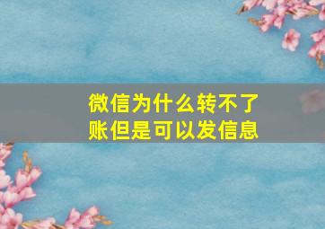 微信为什么转不了账但是可以发信息