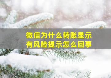 微信为什么转账显示有风险提示怎么回事