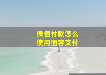 微信付款怎么使用面容支付