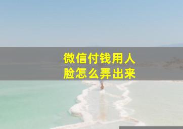 微信付钱用人脸怎么弄出来