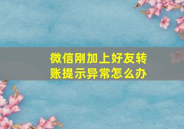 微信刚加上好友转账提示异常怎么办