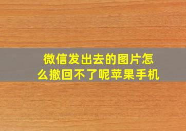 微信发出去的图片怎么撤回不了呢苹果手机