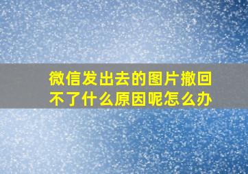 微信发出去的图片撤回不了什么原因呢怎么办