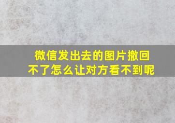 微信发出去的图片撤回不了怎么让对方看不到呢