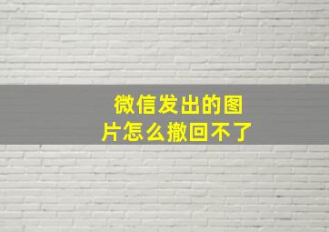 微信发出的图片怎么撤回不了