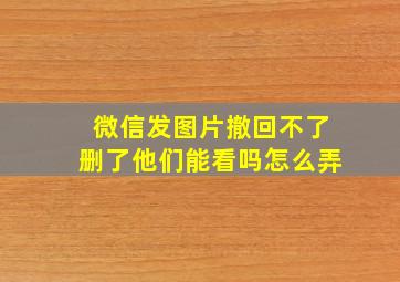 微信发图片撤回不了删了他们能看吗怎么弄