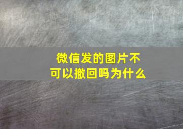 微信发的图片不可以撤回吗为什么