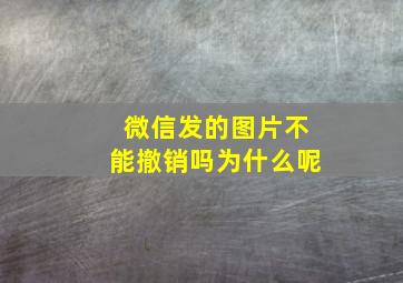 微信发的图片不能撤销吗为什么呢