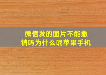 微信发的图片不能撤销吗为什么呢苹果手机