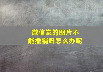 微信发的图片不能撤销吗怎么办呢