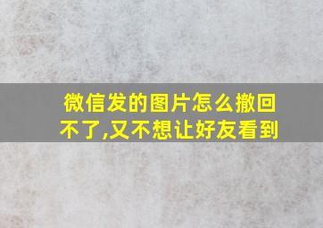 微信发的图片怎么撤回不了,又不想让好友看到