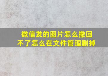 微信发的图片怎么撤回不了怎么在文件管理删掉